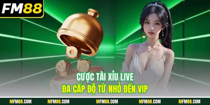 Cược tài xỉu live đa cấp độ từ nhỏ đến VIP